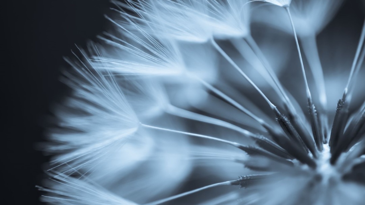 Tilt Renewables Salt Creek Wind Farm