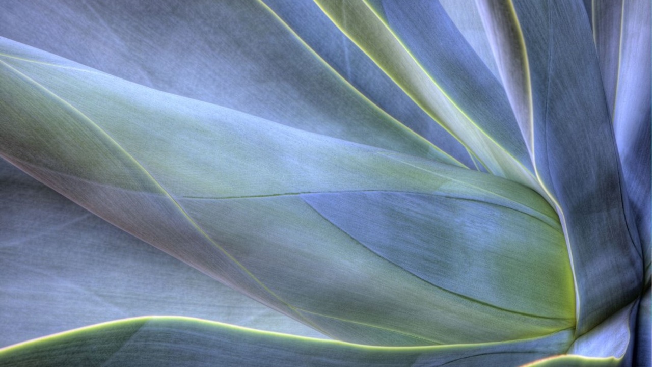 Morrison environmental, social and governance statement