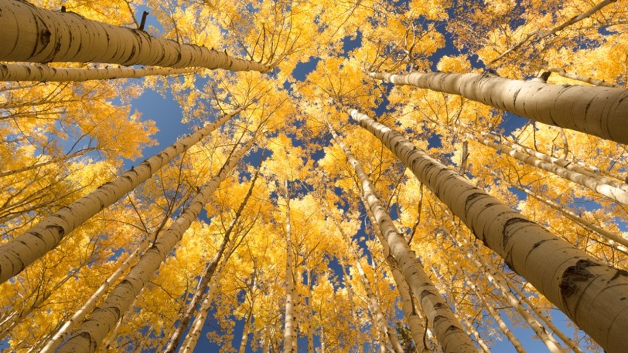 Morrison achieves first NZ Sustainability Loan for Schools facilities