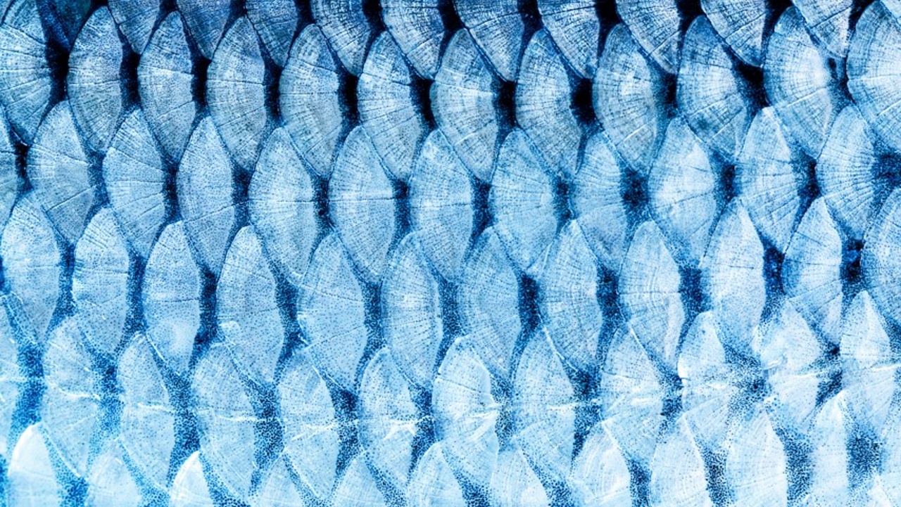 Successful close for NZSIF