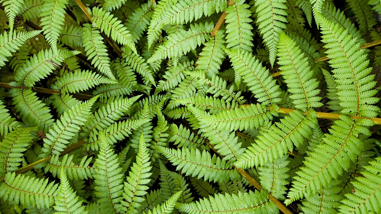 UTA rated as top infrastructure fund in Oceania by GRESB